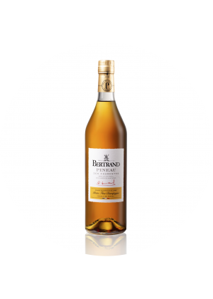 Domaine des Brissons de Laage - Blanc